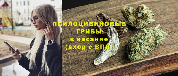 PSILOCYBIN Алексеевка