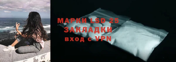 прущие грибы Алексин
