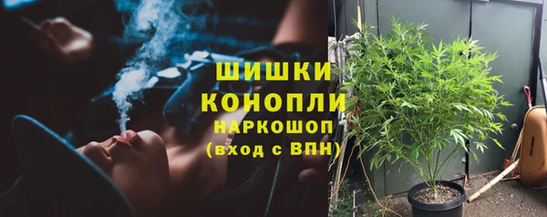 PSILOCYBIN Алексеевка