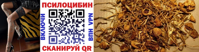 ОМГ ОМГ ссылки  Урюпинск  Псилоцибиновые грибы Psilocybe 